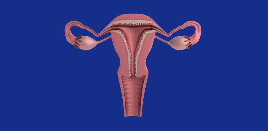 ovulatia si problemele de ovulatie