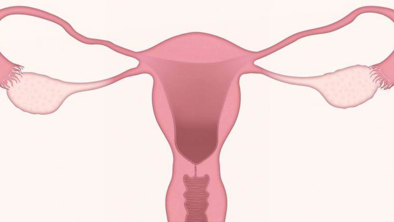varicele trompelor uterine