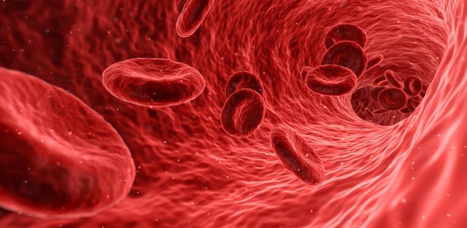 rolul hemoglobinei