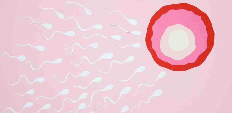 mituri despre infertilitate